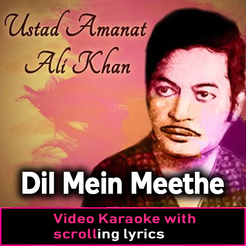 Dil Mein Meethe Meethe Dard Ke Phool - Video Karaoke Lyrics
