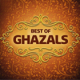 Ghazals Collection - Pakistani & Indian