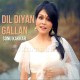 Dil Diyan Gallan - Cover - Karaoke Mp3