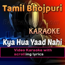 Kya Hua Yaad Nahi - Remix - Tamil - Video Karaoke Lyrics