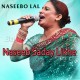 Naseeb Sade Likhe Rab Ne - Karaoke Mp3