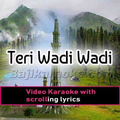 Teri Wadi Wadi Ghoomu - Without Chorus - Video Karaoke Lyrics