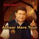 Ashaar Mere Youn To Zamane Ke - Karaoke Mp3