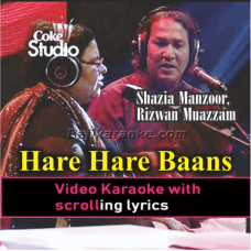 Hare Hare Baans - Video Karaoke Lyrics