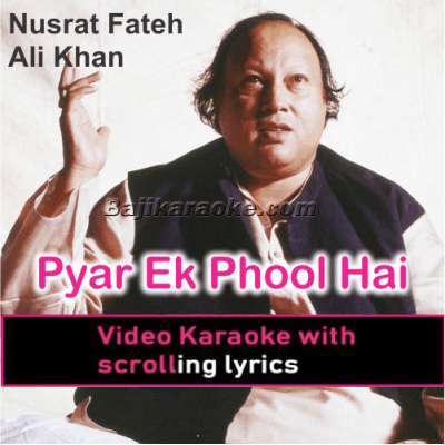 Pyar Ek Phool Hai - Video Karaoke Lyrics