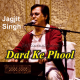 Dard Ke Phool Hi Khilte Bikhar - Ghazal - Karaoke Mp3 | Jagjit Singh