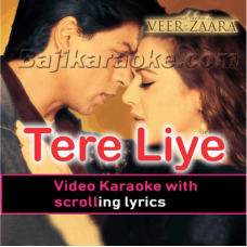 Tere liye - Veer Zara - Video Karaoke Lyrics