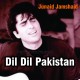 Dil dil pakistan - Live instruments - Karaoke Mp3 | Junaid Jamshed