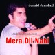 Mera dil nahi available - Karaoke Mp3 | Junaid Jamshed