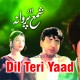 Dil Teri Yaad Mein Jab Bhi - Karaoke Mp3