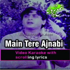 Main tere ajnabi sheher mein - Video Karaoke Lyrics