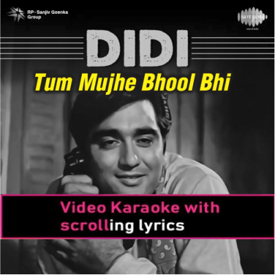 Tum Mujhe Bhool Bhi Jao - Video Karaoke Lyrics