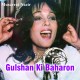 Gulshan ki baharon mein - Karaoke Mp3