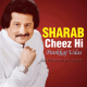 Sharab cheez hi aisi hai - Karaoke Mp3