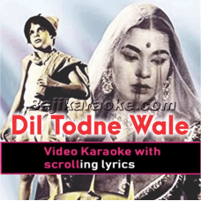 Dil Todne Waale Tujhe sang - Video Karaoke Lyrics