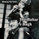 Hai Bahaar E Baagh E Duniyaa - Karaoke Mp3