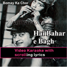Hai Bahaar E Baagh E Duniyaa - Video Karaoke Lyrics