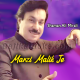 Marzi Malik Ji - Karaoke Mp3