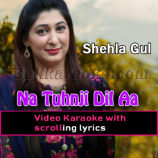 Na Tuhnji Dil Aa - Video Karaoke Lyrics