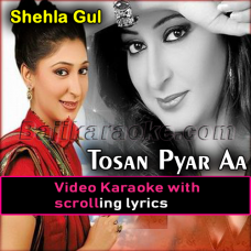 Tosan Pyar Aa - Video Karaoke Lyrics