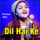 Dil Hai Ke Manta Nahi - Cover - Karaoke mp3