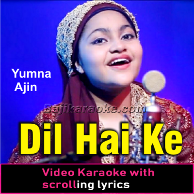 Dil Hai Ke Manta Nahi - Cover - Video Karaoke Lyrics