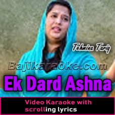 Ek Dard Aashna Mila - Video Karaoke Lyrics