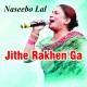 Jithe Rakhen Ga Pair - Punjabi - Karaoke Mp3