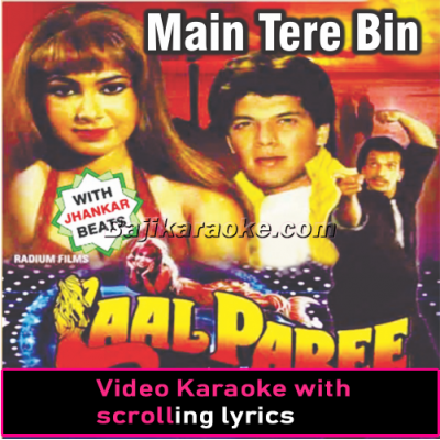Main Tere Bin Jee Nahin Sakta - Video Karaoke Lyrics