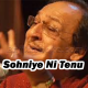 Sohniye Ni Tenu Main Pyar Karan - Karaoke mp3