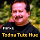 Todna Tute Hue Dil Ka - Karaoke mp3
