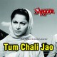 Tum Chali Jao Gi Parchhaiyan - Karaoke Mp3