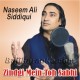 Zindagi Mein To Sabhi - Live - Karaoke mp3