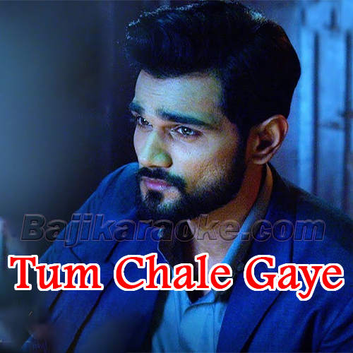Tum Chale Gaye - Male Version - Karaoke mp3